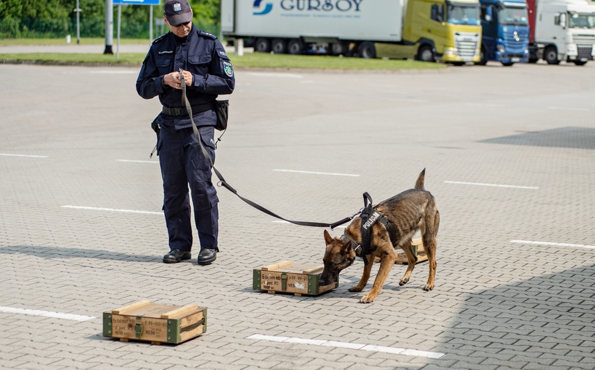 Nos i cztery łapy na służbie zdjęcie nr 330851