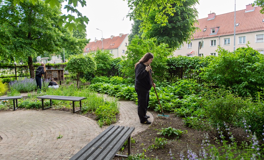 Szkolne klimaty zdjęcie nr 331039