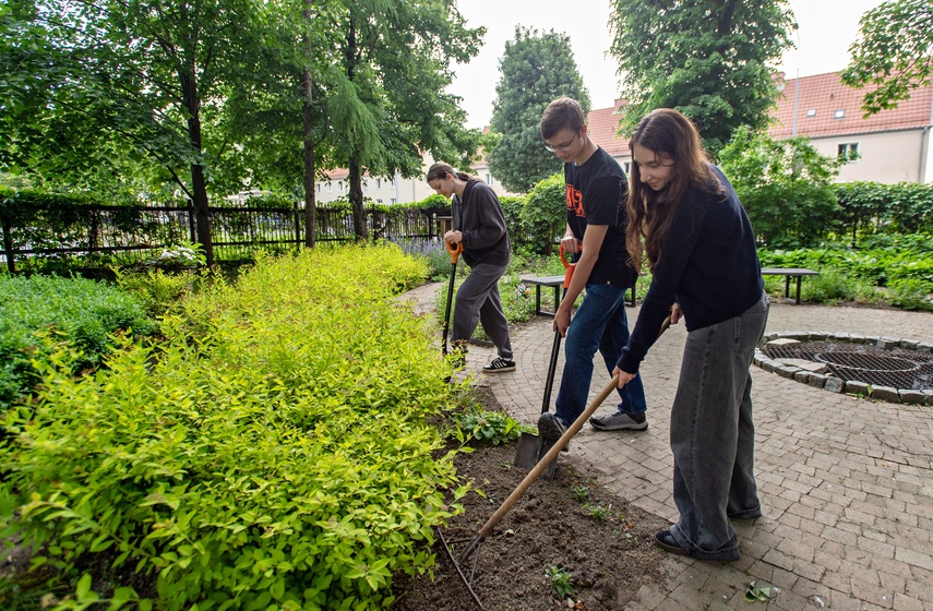 Szkolne klimaty zdjęcie nr 331035