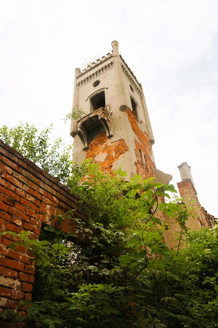 Ruiny pałacu Victora i Margarethe Fehlaue (Letnie przystAnki odc. 1) zdjęcie nr 332398