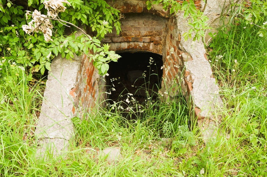 Ruiny pałacu Victora i Margarethe Fehlaue (Letnie przystAnki odc. 1) zdjęcie nr 332396