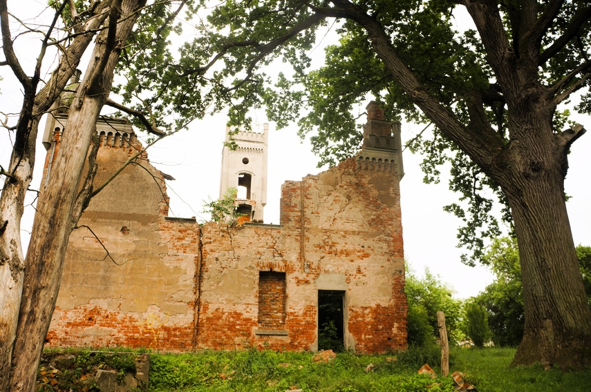 Ruiny pałacu Victora i Margarethe Fehlaue (Letnie przystAnki odc. 1) zdjęcie nr 332400