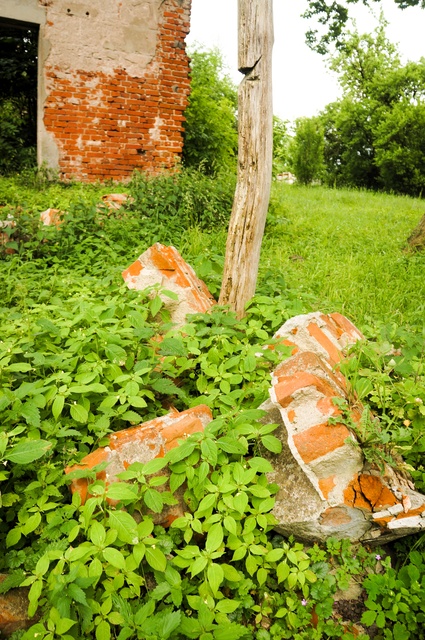 Ruiny pałacu Victora i Margarethe Fehlaue (Letnie przystAnki odc. 1) zdjęcie nr 332390