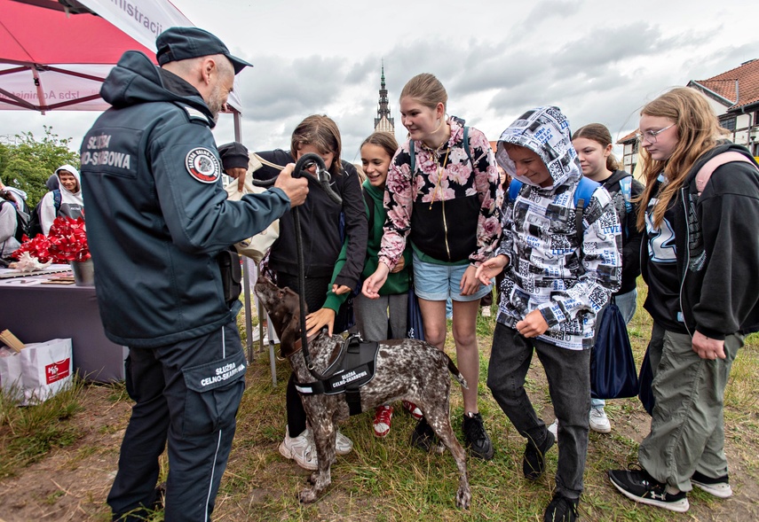 Wakacje tuż, tuż. Jak spędzić je bezpiecznie? zdjęcie nr 332674