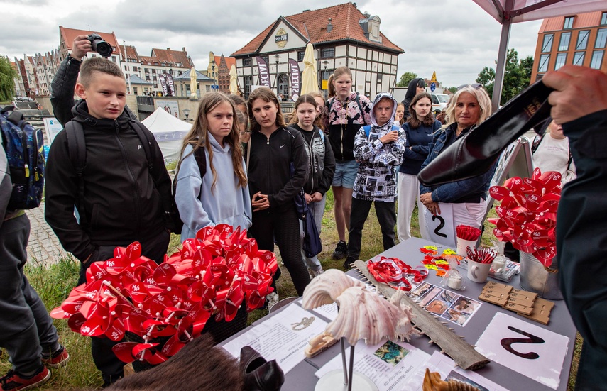 Wakacje tuż, tuż. Jak spędzić je bezpiecznie? zdjęcie nr 332673