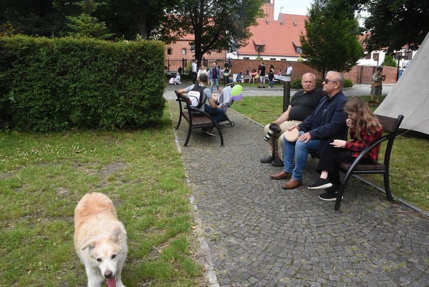 Truso na dziedzińcu muzeum zdjęcie nr 332992