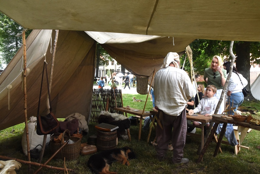 Truso na dziedzińcu muzeum zdjęcie nr 332980