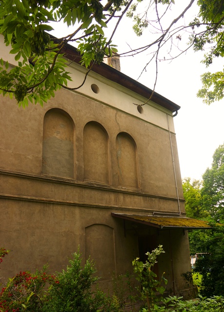 Dymnik zdjęcie nr 333237