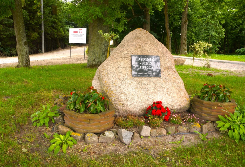 Dymnik zdjęcie nr 333232