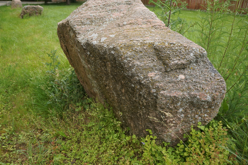 Dymnik zdjęcie nr 333244