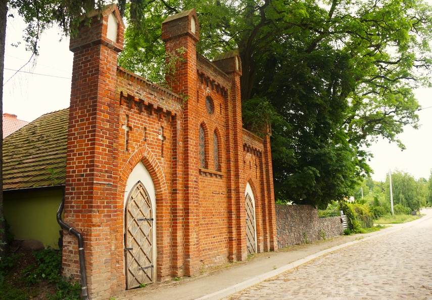 Dymnik zdjęcie nr 333245