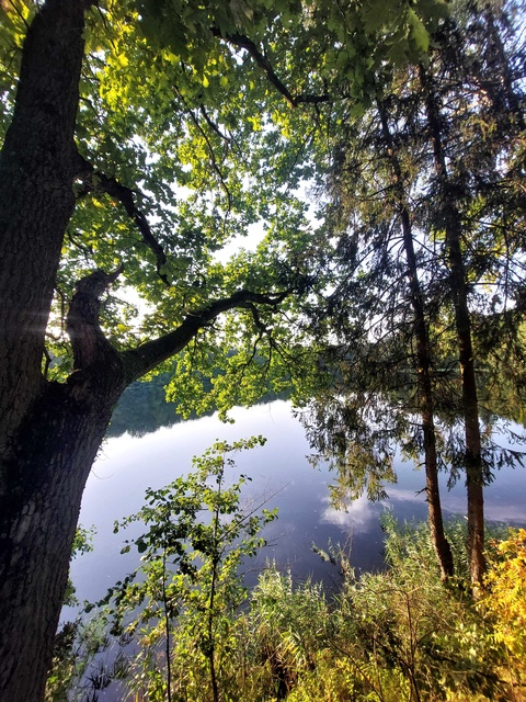 Piórkowo (Letnie przystAnki odc. 3) zdjęcie nr 333646