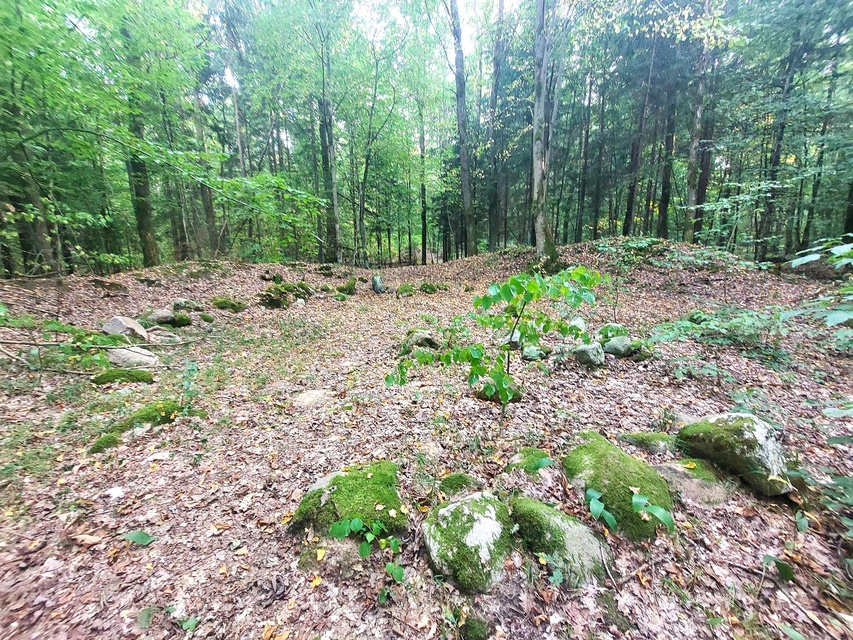 Piórkowo (Letnie przystAnki odc. 3) zdjęcie nr 333641