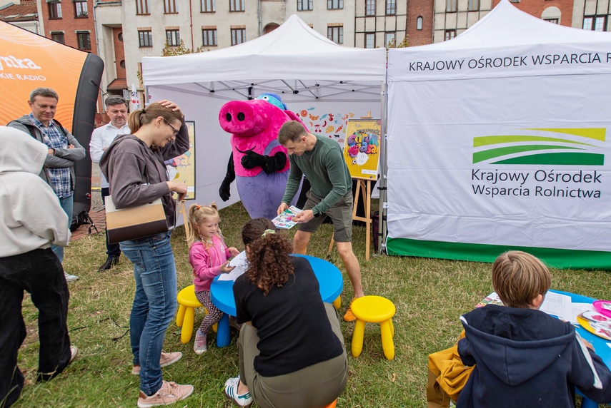 Trwa Lato z Radiem i Telewizją Polską w Elblągu zdjęcie nr 333675