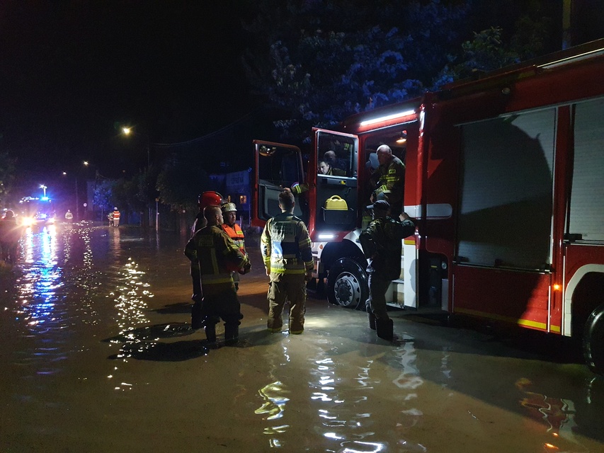 Tolkmicko pod wodą zdjęcie nr 334450