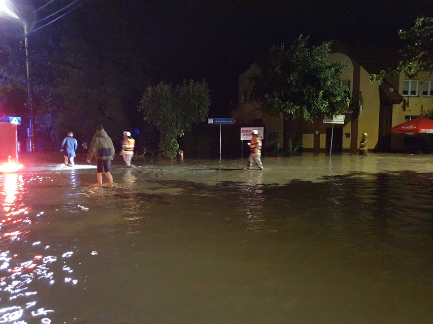 Tolkmicko pod wodą zdjęcie nr 334448
