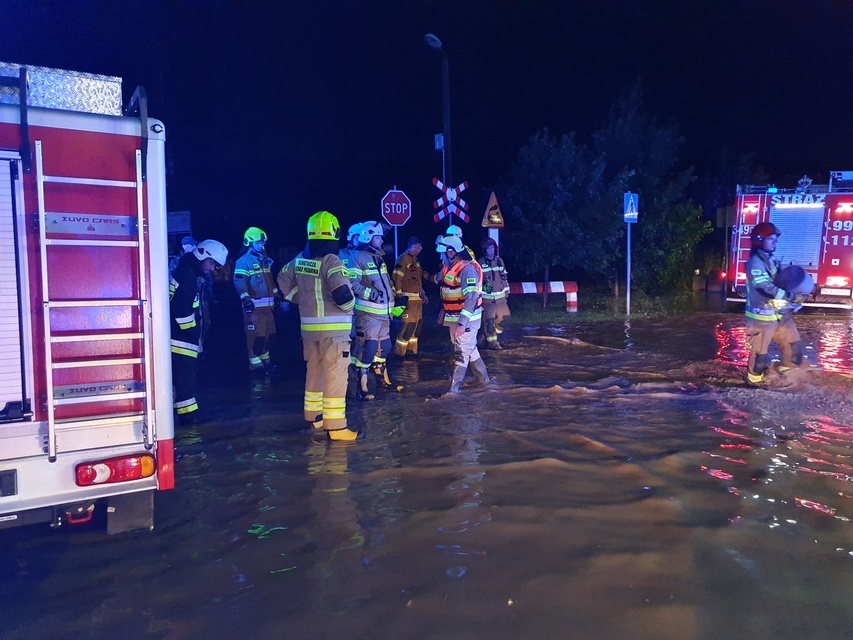 Tolkmicko pod wodą zdjęcie nr 334469