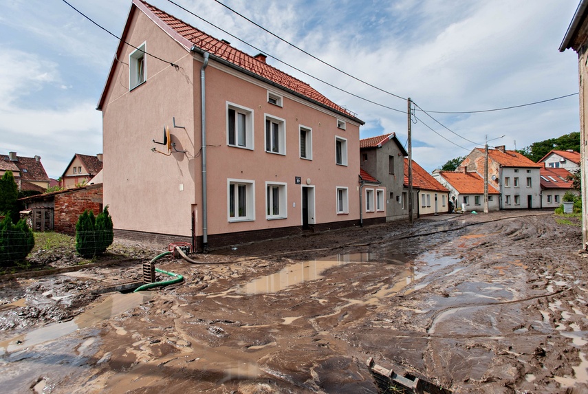 Wielkie sprzątanie po wielkiej wodzie zdjęcie nr 334712
