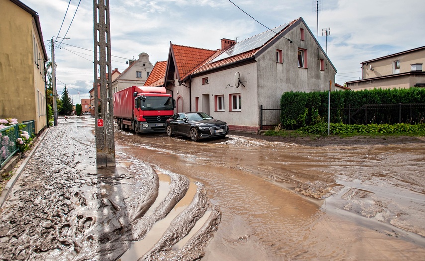 Wielkie sprzątanie po wielkiej wodzie zdjęcie nr 334709