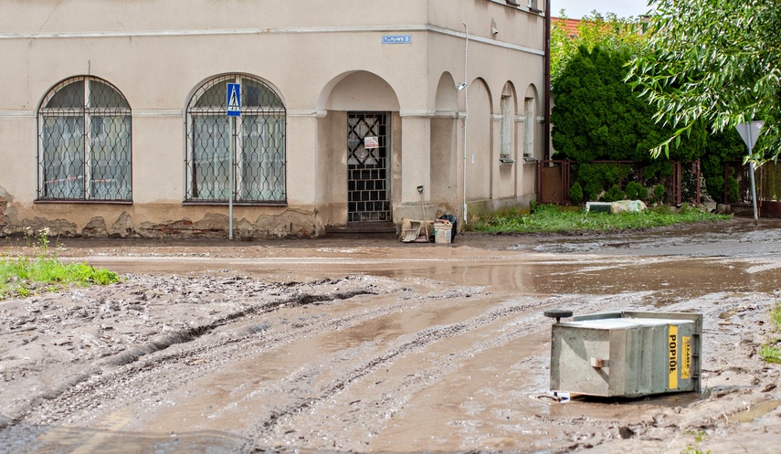 Wielkie sprzątanie po wielkiej wodzie zdjęcie nr 334718