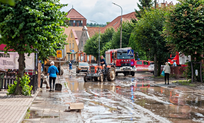 Wielkie sprzątanie po wielkiej wodzie zdjęcie nr 334689