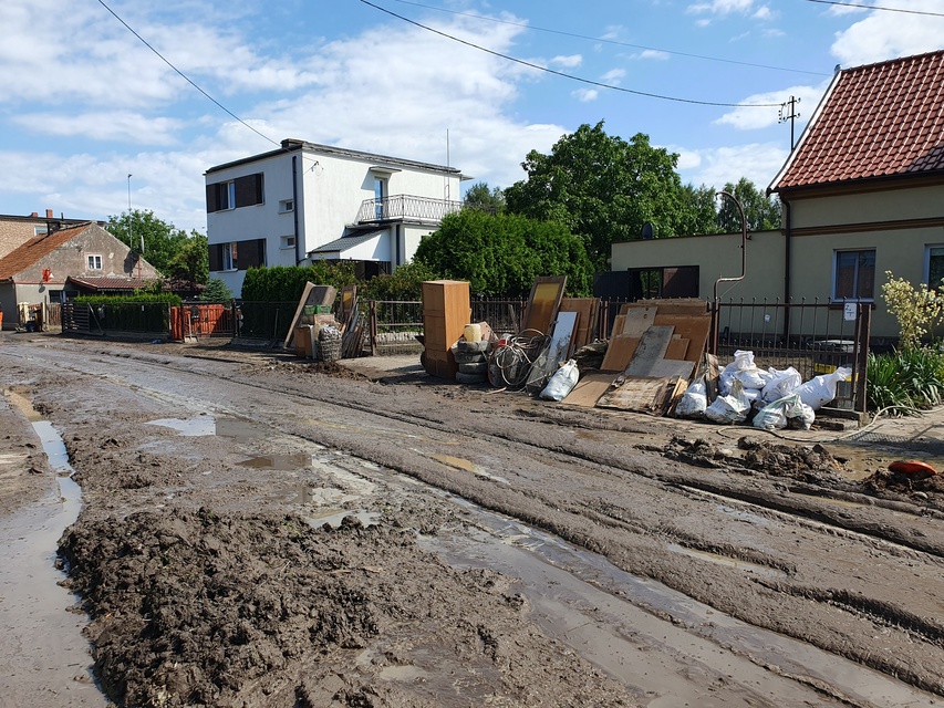 Wielkie sprzątanie w Tolkmicku zdjęcie nr 334820