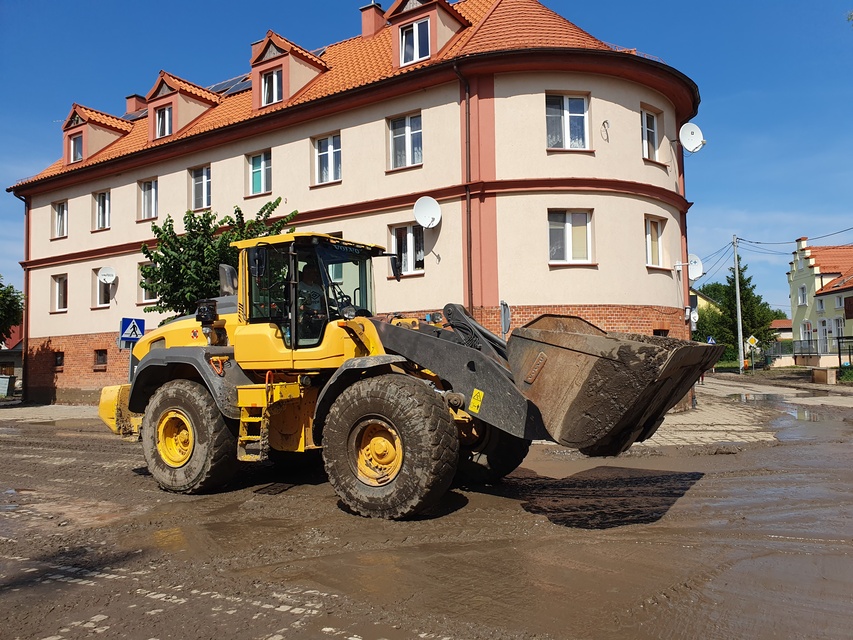 Wielkie sprzątanie w Tolkmicku zdjęcie nr 334792