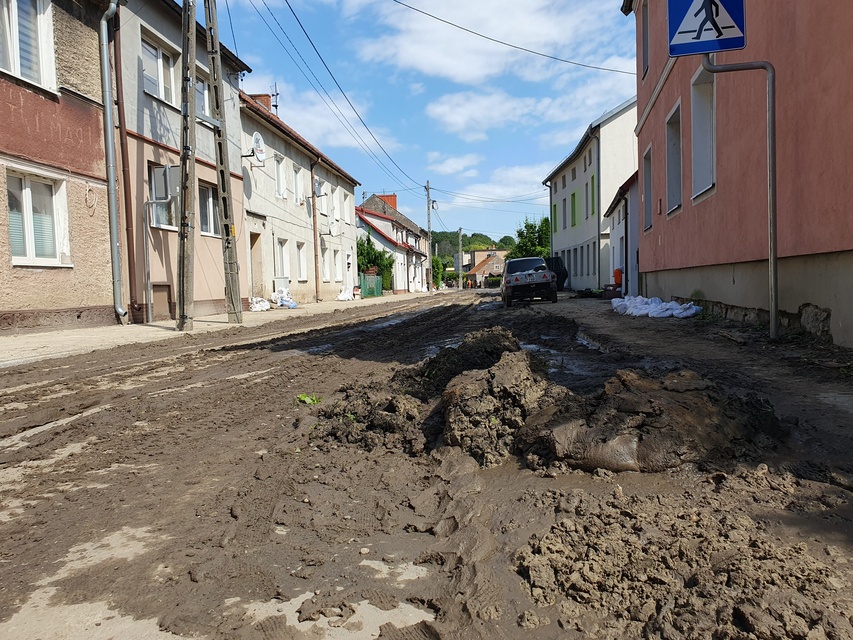 Wielkie sprzątanie w Tolkmicku zdjęcie nr 334816