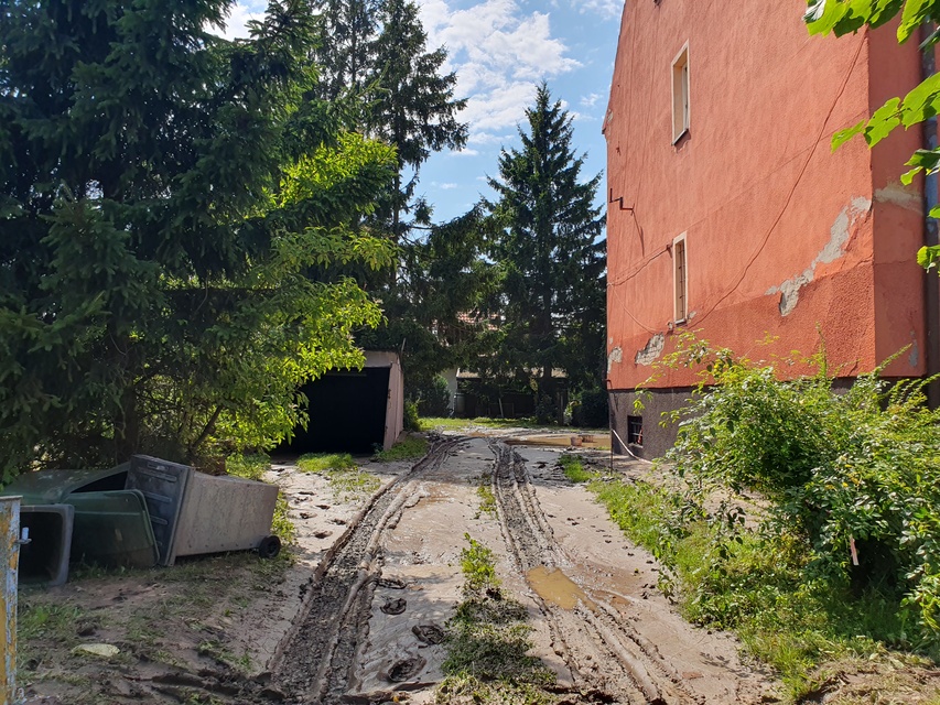 Wielkie sprzątanie w Tolkmicku zdjęcie nr 334785