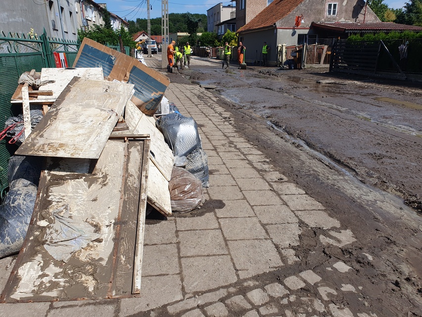 Wielkie sprzątanie w Tolkmicku zdjęcie nr 334822