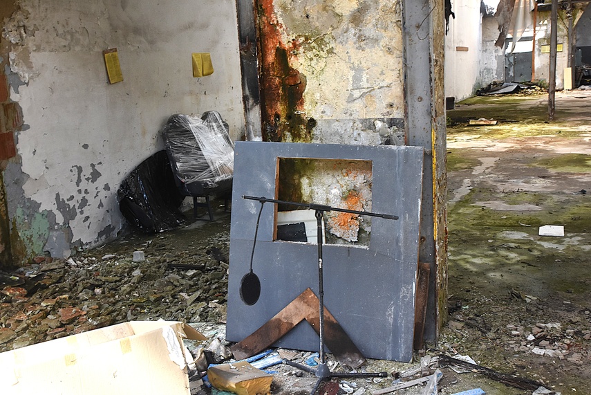 Rośliny wracają do hal po Komnicku zdjęcie nr 334887