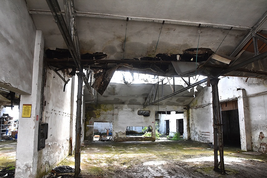 Rośliny wracają do hal po Komnicku zdjęcie nr 334894