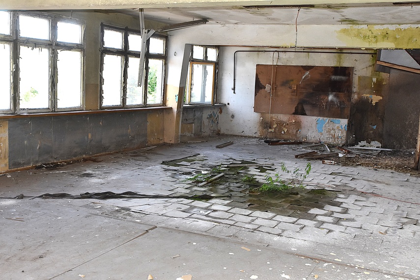 Rośliny wracają do hal po Komnicku zdjęcie nr 334899