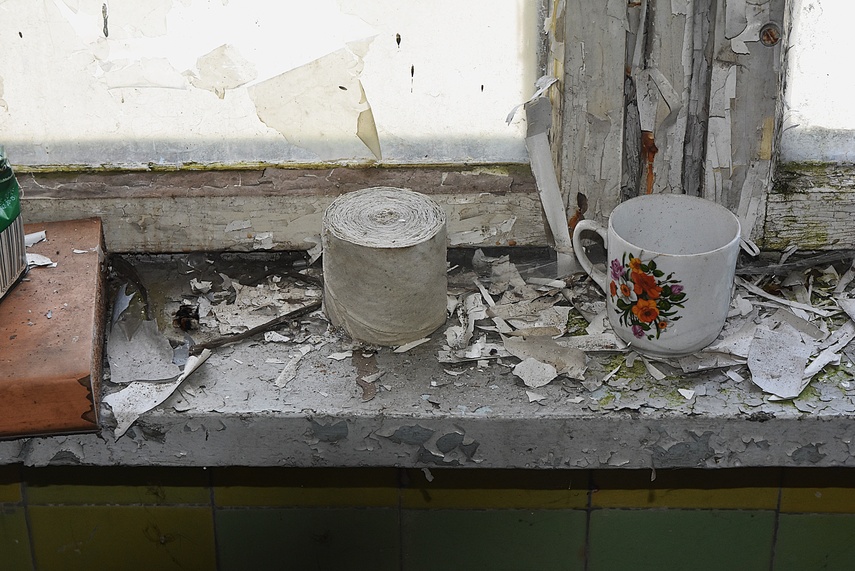 Rośliny wracają do hal po Komnicku zdjęcie nr 334908