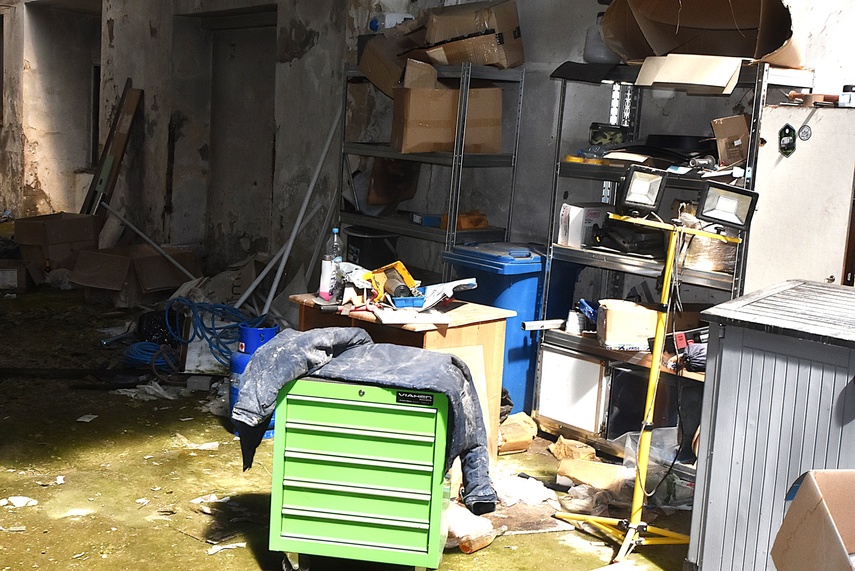 Rośliny wracają do hal po Komnicku zdjęcie nr 334884