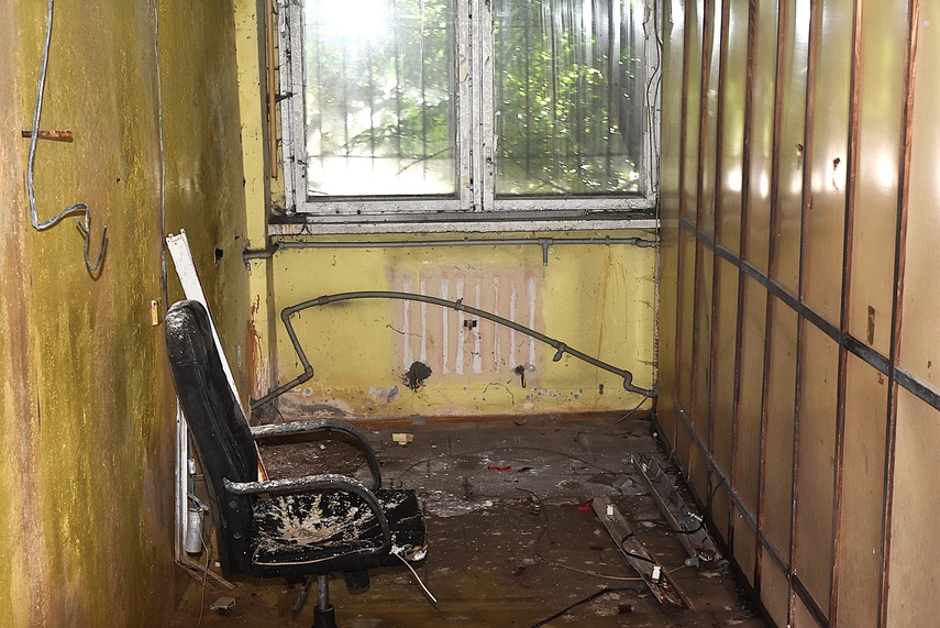 Rośliny wracają do hal po Komnicku zdjęcie nr 334897