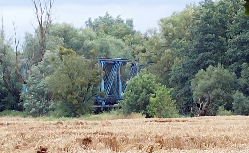 Rudłowo (Letnie przystAnki odc. 6) zdjęcie nr 334942