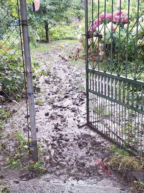 Podtopienia w Tolkmicku  zdjęcie nr 335016