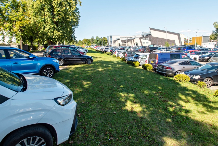Uroki pływania, bóle parkowania zdjęcie nr 335551