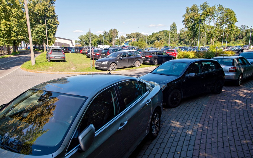 Uroki pływania, bóle parkowania zdjęcie nr 335548