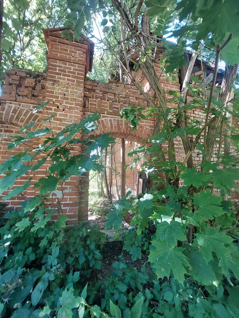 Ponary (Letnie przystAnki odc. 8) zdjęcie nr 335635