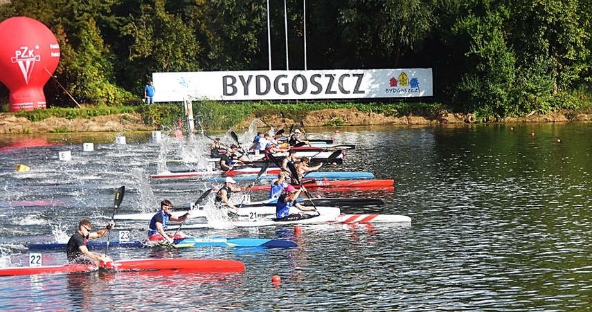 Złoto dla zuchwałych zdjęcie nr 336176