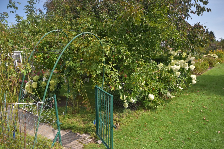 działka zdjęcie nr 336275