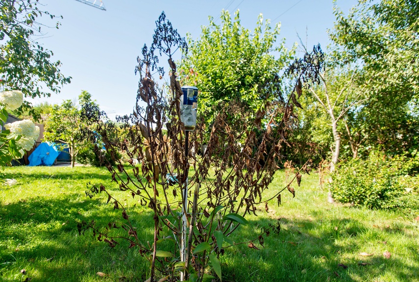 działka zdjęcie nr 336260
