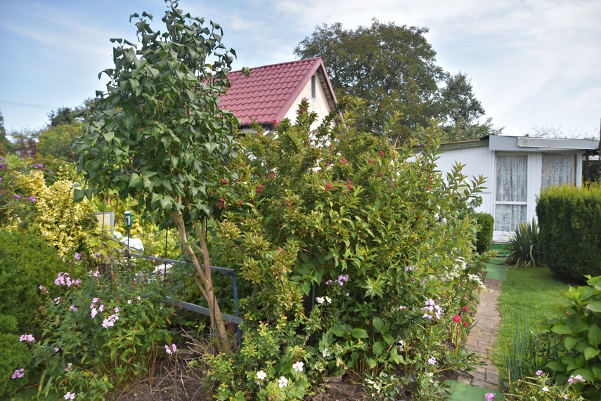 działka zdjęcie nr 336283