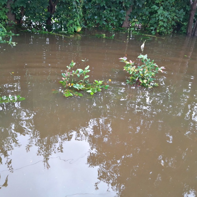 działka zdjęcie nr 336245