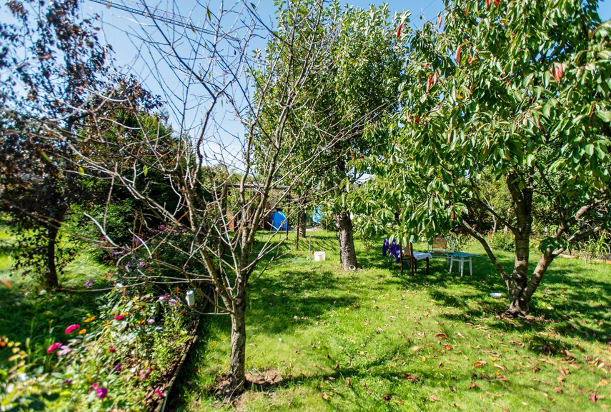 działka zdjęcie nr 336270