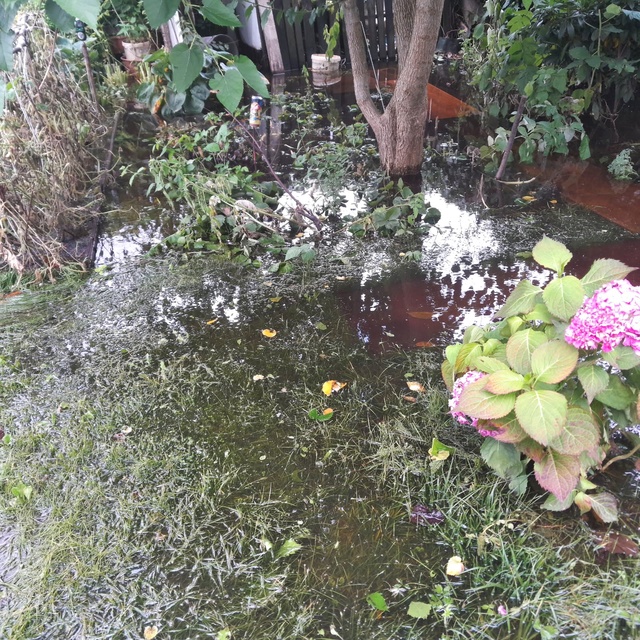 działka zdjęcie nr 336250