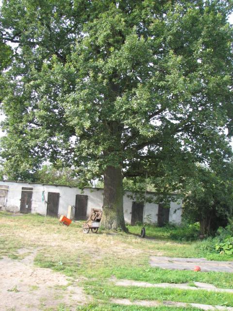 Budynek przy Warszawskiej zdjęcie nr 26977
