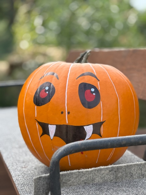 Dyniowa Farma startuje 20 września w Nowej Holandii zdjęcie nr 336829